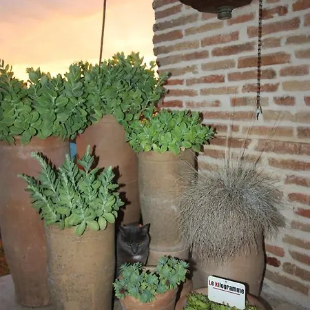 Apartamento Le De Jacobiel