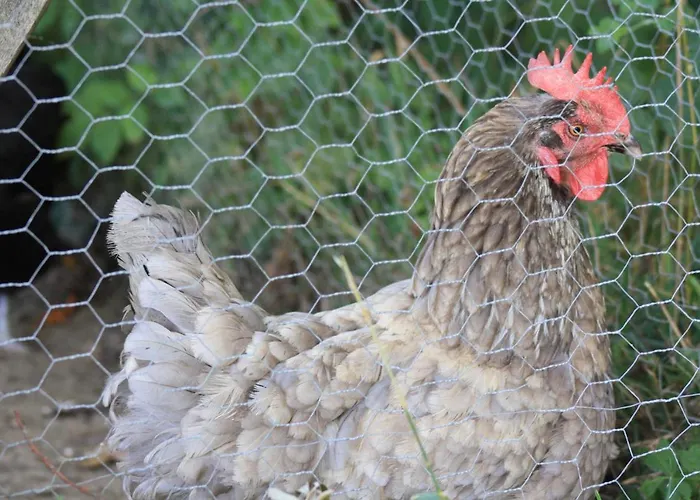 شقة Le De Jacobiel Verlhac-Tescou