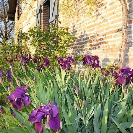 Apartment Le De Jacobiel