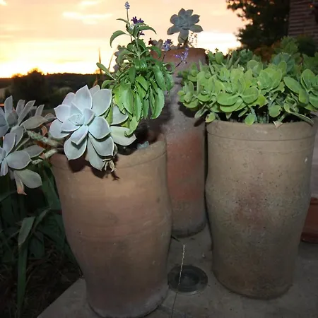 Le De Jacobiel Apartment *