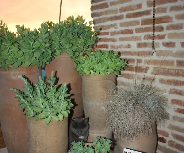 Apartmán Le De Jacobiel