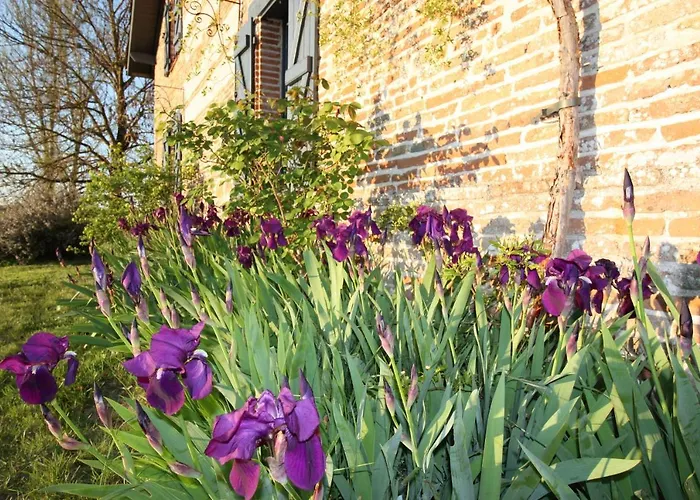 Apartmán Le De Jacobiel